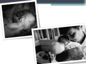 Radiacinės avarijos ir jų padariniai  8 puslapis