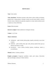 Renginio išplėstinis planas: ugdomasis renginys sveikos gyvensenos tema 2 puslapis