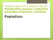 Krikščionių bažnyčia viduramžiais (skaidrės) 12 puslapis