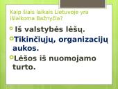Krikščionių bažnyčia viduramžiais (skaidrės) 15 puslapis