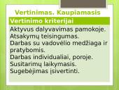 Krikščionių bažnyčia viduramžiais (skaidrės) 3 puslapis