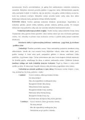 Renginio planas 2 puslapis