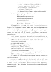 Renginio planas 3 puslapis