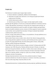 Renginio planas: pažintinė kelionė po muziejų 2 puslapis