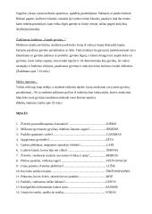 Renginio planas: pažintinė kelionė po muziejų 3 puslapis