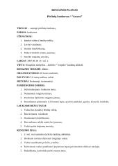 Renginio planas: piešinių konkursas "Vasara"