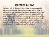 Siuntėjas - knygos pristatymo skaidrės 4 puslapis