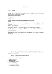 Renginio scenarijus: "Abėcėlės šventė" 2 puslapis