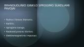 Branduolinio ginklo pavojai 2 puslapis