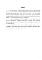 Savaitės darbo laiko analizė 3 puslapis