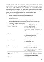 Savaitės darbo laiko analizė 8 puslapis