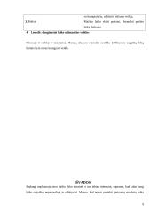 Savaitės darbo laiko analizė 9 puslapis