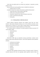 Būsto paskolos suteikimo galimybės x ir y bankuose 9 puslapis