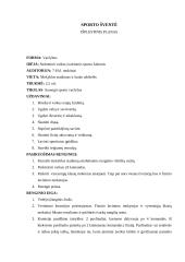 Sporto šventės išplėstinis planas