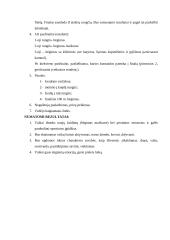 Sporto šventės išplėstinis planas 2 puslapis