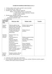Stebėtų pamokų protokolai 5 puslapis
