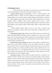 Šventės scenarijus Žemės dienai "Šventė mums ir gamtai" 5-6 metų vaikams 3 puslapis