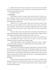 Šventės scenarijus Žemės dienai "Šventė mums ir gamtai" 5-6 metų vaikams 6 puslapis