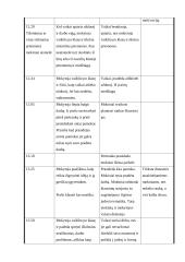 Skulptūros ugdomoji pamokos analizė 2 puslapis