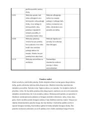 Skulptūros ugdomoji pamokos analizė 3 puslapis