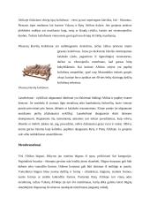 Afrikos muzikos instrumentai ir instrumentinės muzikos bruožai 3 puslapis