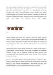 Afrikos muzikos instrumentai ir instrumentinės muzikos bruožai 5 puslapis