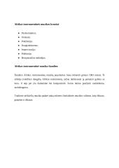 Afrikos muzikos instrumentai ir instrumentinės muzikos bruožai 7 puslapis