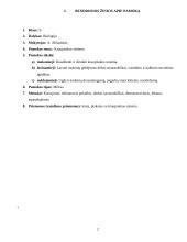 Ugdomoji pamokos analizė - biologijos pamoka 2 puslapis