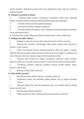 Ugdomoji pamokos analizė - lietuvių kalbos pamoka 3 puslapis