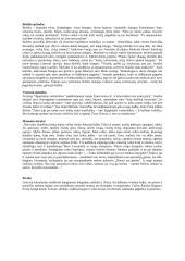 Lietuvybės tema Šatrijos Raganos apysakoje "Sename dvare" 2 puslapis