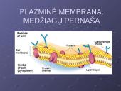 Plazminė membrana. Medžiagų pernaša