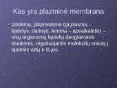 Plazminė membrana. Medžiagų pernaša 2 puslapis