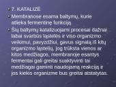 Plazminė membrana. Medžiagų pernaša 11 puslapis