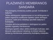 Plazminė membrana. Medžiagų pernaša 12 puslapis