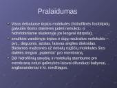 Plazminė membrana. Medžiagų pernaša 15 puslapis