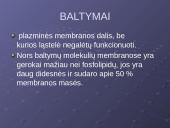 Plazminė membrana. Medžiagų pernaša 17 puslapis