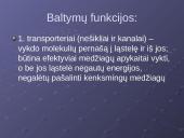 Plazminė membrana. Medžiagų pernaša 18 puslapis