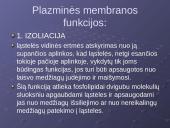 Plazminė membrana. Medžiagų pernaša 4 puslapis