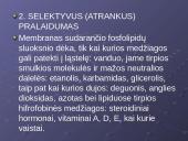 Plazminė membrana. Medžiagų pernaša 5 puslapis