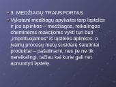 Plazminė membrana. Medžiagų pernaša 7 puslapis