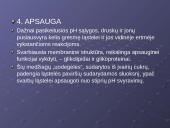 Plazminė membrana. Medžiagų pernaša 8 puslapis