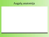 Medžiagų pernaša augaluose 3 puslapis