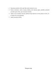 Ugdomojo renginio išplėstinis planas: Atsisakymo įgūdžių formavimas - kaip pasakyti "ne" 4 puslapis