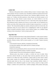 Ugdomojo renginio išplėstinis planas: Atsisakymo įgūdžių formavimas - kaip pasakyti "ne" 5 puslapis