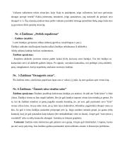 Vaikų vasaros stovykla "Draugystės ratas" 8 puslapis