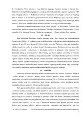 Garsiausi Lietuvos tapytojai pripažinti pasaulyje 4 puslapis