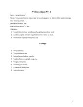 Veiklos su ugdytinių tėvais planai 2 puslapis