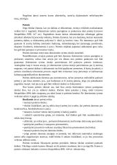 Kratos ir poėmio taktika (konspektas) 14 puslapis