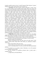 Kratos ir poėmio taktika (konspektas) 17 puslapis