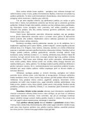 Kratos ir poėmio taktika (konspektas) 7 puslapis